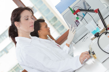 Fototapeta premium researchers at work in a laboratory