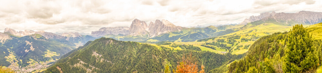 Alpe di Siusi, Seiser Alm with Sassolungo Langkofel Dolomite, a large mountain in the background