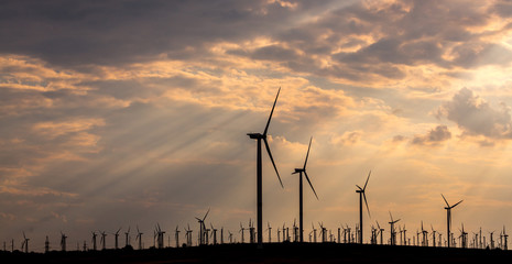 Wind turbines on the background of a beautiful sky