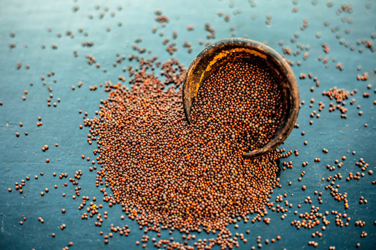 Raw organic herbal spice Mustard seeds or sarso or rai or Brassica nigra, in a clay bowl on wooden surface.