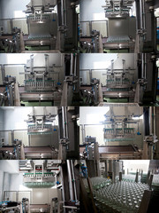 Production. Development of medicines