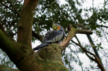 bird on a branch
