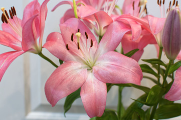 bouquet of pink lilies 