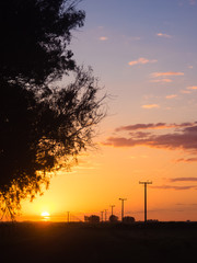 Sunset in the fields of Argentina