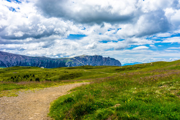 Obraz premium Alpe di Siusi, Seiser Alm with Sassolungo Langkofel Dolomite, a trekking walking winding path in a lush green field