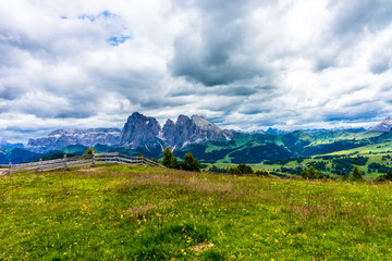 Alpe di Siusi, Seiser Alm with Sassolungo Langkofel Dolomite, a large green field with a mountain in the background