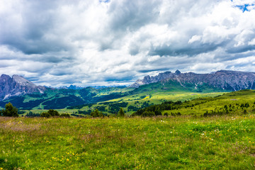 Alpe di Siusi, Seiser Alm with Sassolungo Langkofel Dolomite, a large green field with a mountain in the background