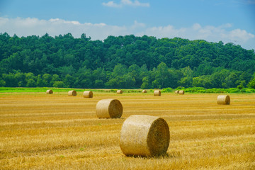 Fototapeta premium Big Straw roll lying in the farm