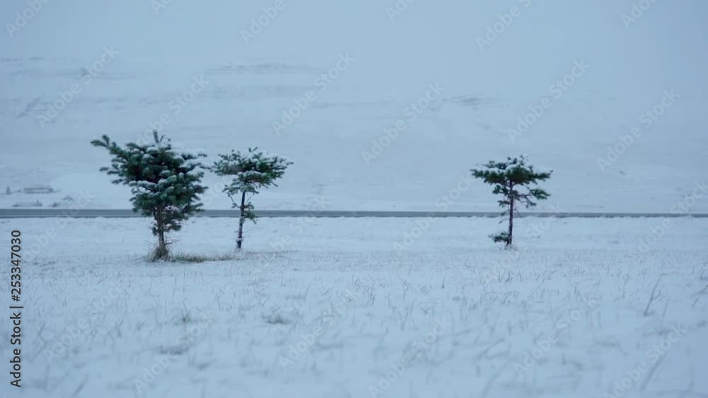 Poster three trees standing in an empty field, covered in snow. christmas and winter concept.