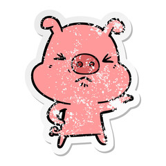 distressed sticker of a cartoon angry pig