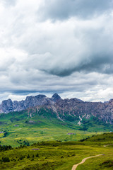 Alpe di Siusi, Seiser Alm with Sassolungo Langkofel Dolomite, a field with a mountain in the background