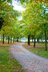 Footpath through the trees in a park