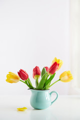 Tulips bouquet in a blue jar on a white background. Red and yellow spring flowers. Copy space