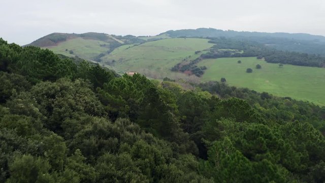 Aerial low drone flight over the tree crones to the little village located on grassy hills; extremely near view from above of winter countryside life; foggy day in Spain north; beautiful rural scene