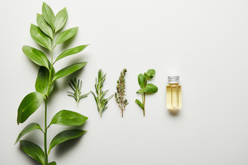 Top view of essential oil and green herbs on white background