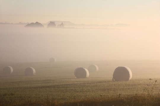 The sun and fog do a usual rural picture with coils in the field of mystical.