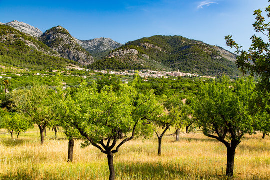 Tramuntanagebirge mit Caimari auf Mallorca