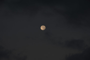 moon