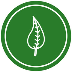 natural leaf circular icon
