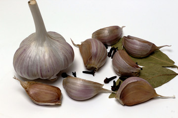 Raw garlic on white background isolated.