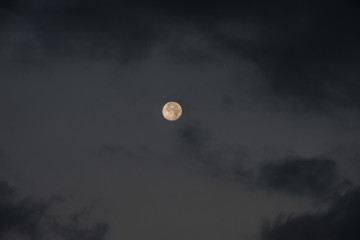 moon