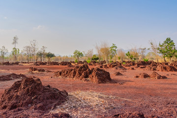 Fototapeta premium Scenery of Red ground in iron ore in Kanchanaburi Thailand.