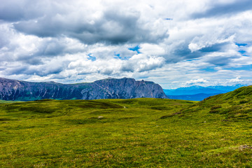 Alpe di Siusi, Seiser Alm with Sassolungo Langkofel Dolomite, a large green field with a mountain in the background