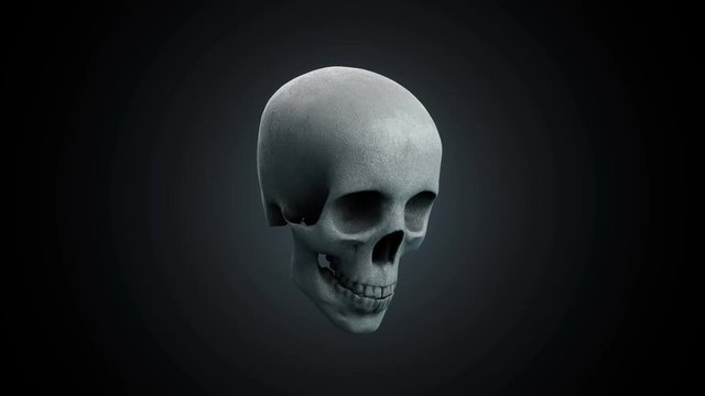 natural skull backdrop