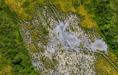 Aerial view of green and colorful farmlands in Cuba