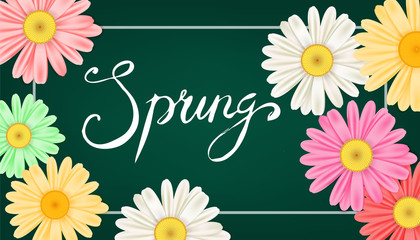 Spring banner. Hand drawn lettering. Background with chamomile, daisy. Spring Time template, flyer, posters, brochure. Happy spring Day. Fashionable styling. Flower vector isolated