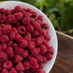 raspberry close up macro on a plate on a square background