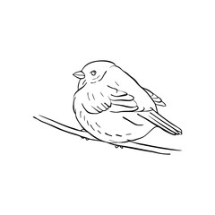 bird at tree branch