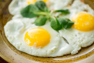fried eggs-three eggs with herbs