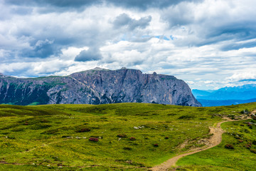 Naklejka premium Alpe di Siusi, Seiser Alm with Sassolungo Langkofel Dolomite, a trekking walking winding path in a lush green field