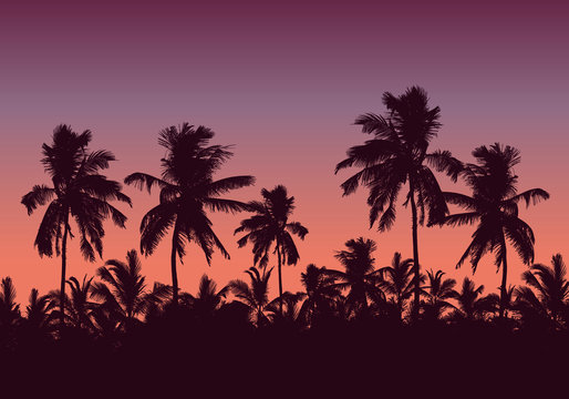 Realistic illustration of a forest of palm trees and the tops of the trees. Purple pink sky with space for text, vector