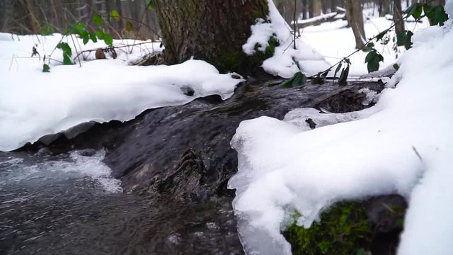 The sring is coming. Close up shot of flowing water in forrest.