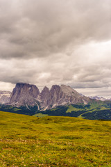 Alpe di Siusi, Seiser Alm with Sassolungo Langkofel Dolomite, a large green field with a mountain in the background