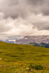 Alpe di Siusi, Seiser Alm with Sassolungo Langkofel Dolomite, a large green field with a mountain in the background