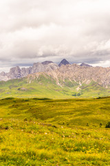 Alpe di Siusi, Seiser Alm with Sassolungo Langkofel Dolomite, a large green field with a mountain in the background