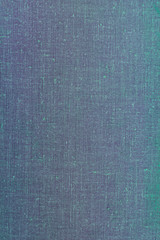 A vintage cloth book cover with a blue screen pattern and grunge background textures.