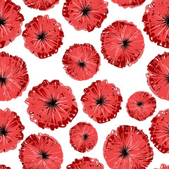 Wild poppies seamless pattern, vector