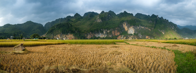 Panorama sur les rizières et montagne au nord Vietnam, province de Ha Giang.