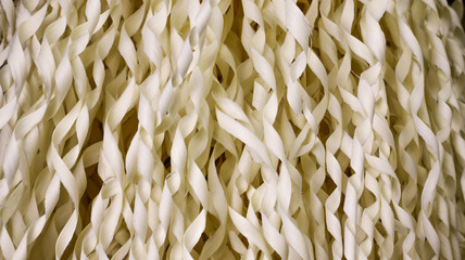 The background of the curly wooden shavings