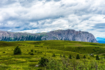 Alpe di Siusi, Seiser Alm with Sassolungo Langkofel Dolomite, a large green field with a mountain in the background