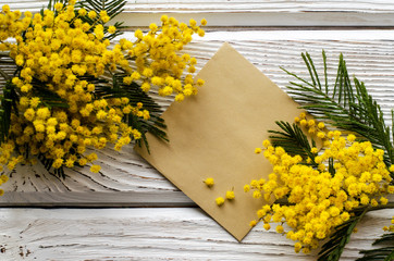 Beautiful Mimosa flower on a wooden backgraund. - Image