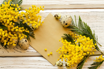 Easter background and beautiful Mimosa flower . - Image
