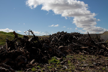 Naturaleza libre 