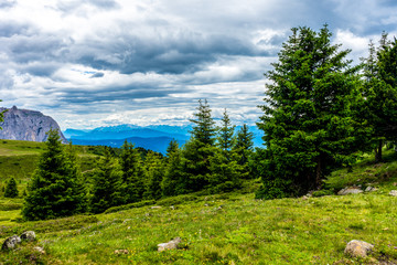 Obraz premium Alpe di Siusi, Seiser Alm with Sassolungo Langkofel Dolomite, a close up of a lush green field in a valley canyon