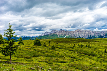 Obraz premium Alpe di Siusi, Seiser Alm with Sassolungo Langkofel Dolomite, a close up of a lush green field in a valley canyon