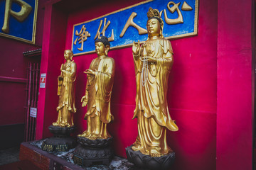 Honk Kong, November 2018 - Ten Thousand Buddhas Monastery (Man Fat Sze) 